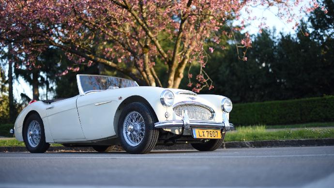1962 Austin Healey 3000 Mark 2 BT7 with overdrive.