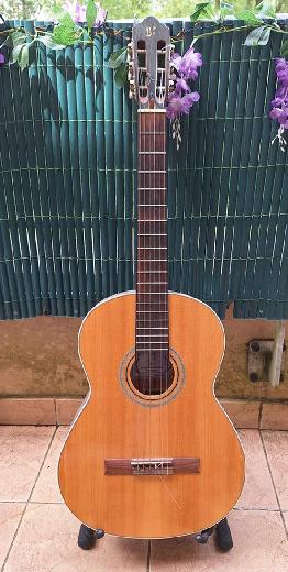 Guitare acoustique APC avec entrée passive