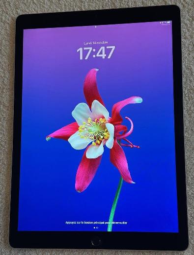 iPad Pro (9.7-inch)