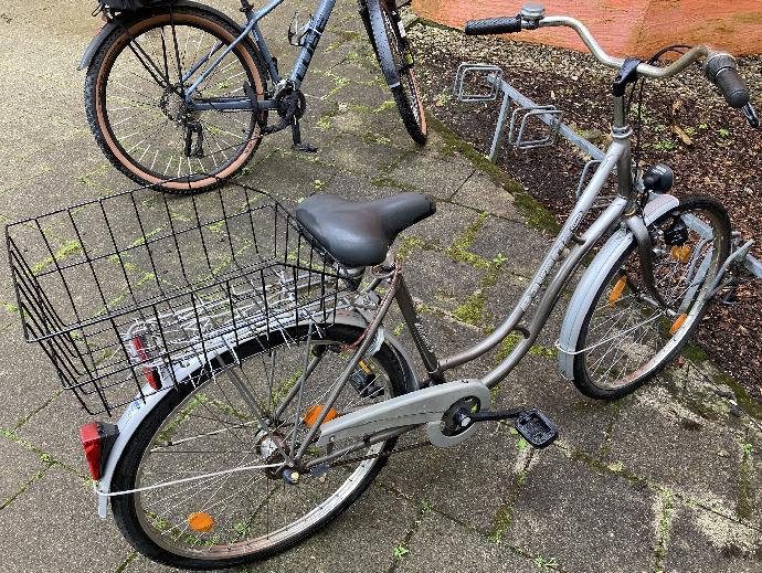 Stadtfahrrad Bavaria Line Lizzard für Damen, Nabenschaltung, Ko
